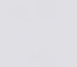 MEGA grün Ecovlies ZV 150 25,00 m x 0,75 m